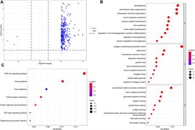 Integrative Analysis Revealed Stemness Features and a Novel Stemness-Related Classification in Colorectal Cancer Patients